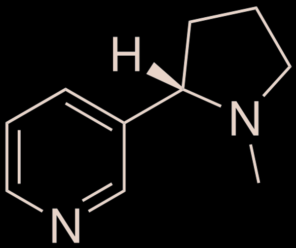 Nicotina Nicotina