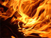 Foc