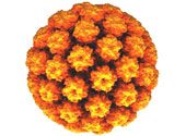 HPV