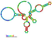Glms ribozyme