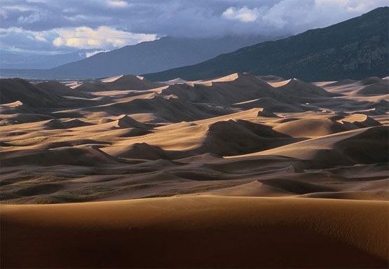 Dune nisip Dune nisip
