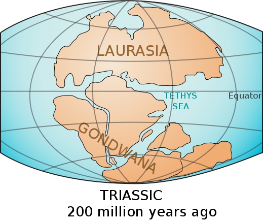 Laurasia si Gondwana