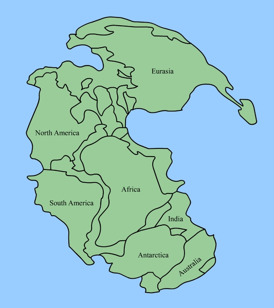Pangeea