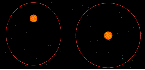 Orbite