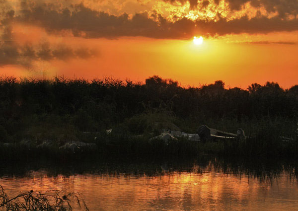 Delta Dunării - răsăsit de Soare Delta Dunarii - răsărit de Soare