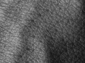 Piele fara par