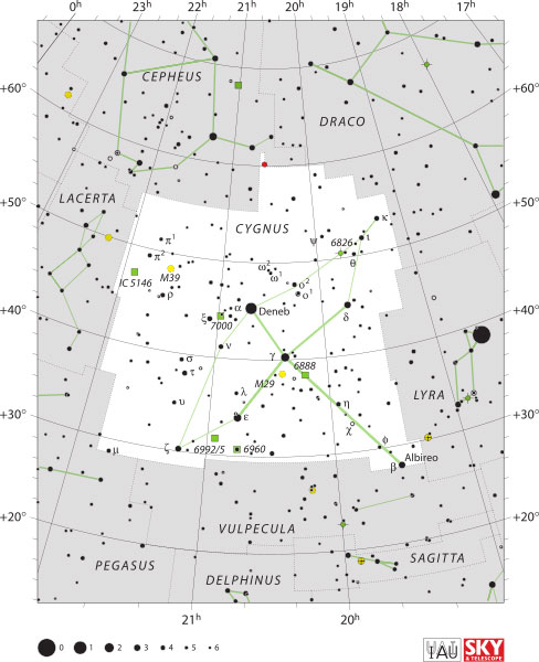Constelaţia Cygnus Constelaţia Cygnus