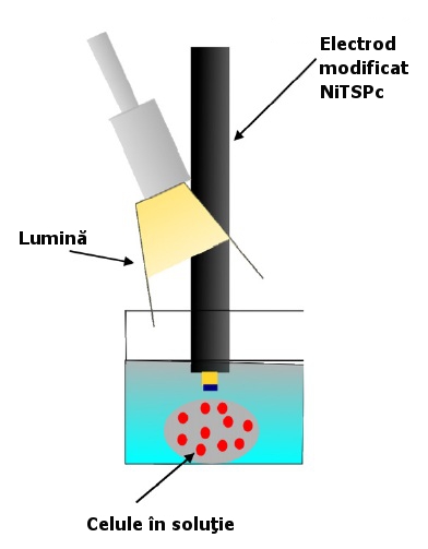 Comunicatie hibrid bio-robot