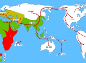 Migratiile umane
