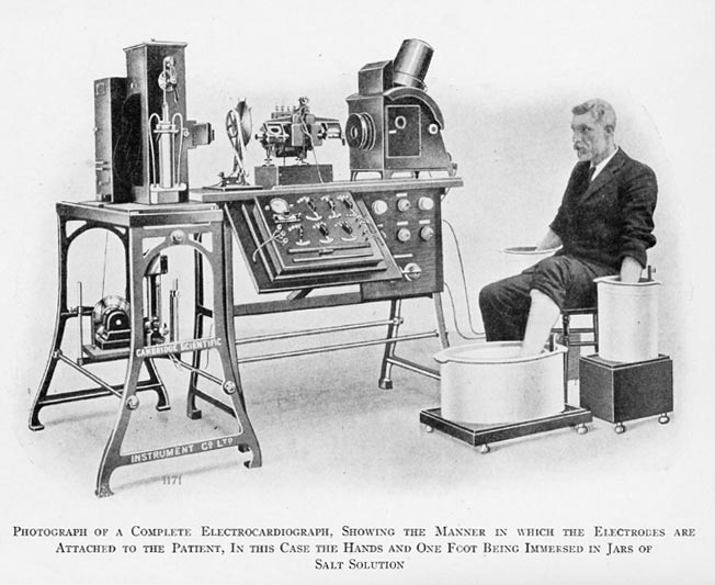 Willem Einthoven