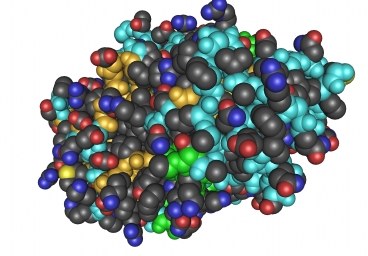 Pansament biologic