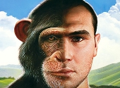 Om si maimuta