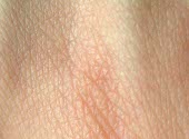Piele