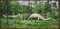 dinozaur dinozaur