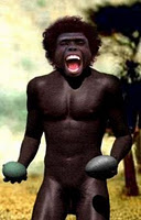 Homo erectus Homo erectus