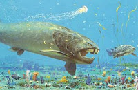 Placoderm Placoderm