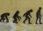 Evoluţie