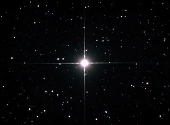 Pollux