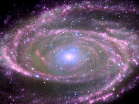 Galaxia M81