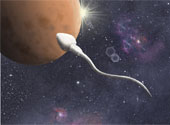 Spermatozoid