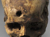 Craniu Garamantes