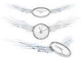 Timpul zboara