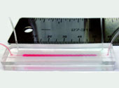 Dispozitiv microfluidic