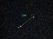 Canis Minor