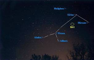 Canis Major Canis Major