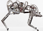 Robotul Cheetah