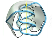 Noduri de lumina