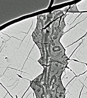 Lafayette la microscop