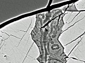 Meteorit la microscop