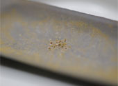 Bacterii producătoare de aur