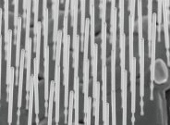 Nanofire