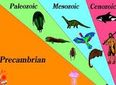 Ere geologice