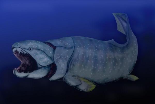 Placoderm Placoderm