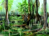 Paleozoicul tarziu