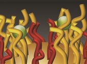 Nanoparticule
