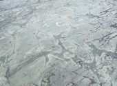 Precambrianul