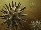 Virus