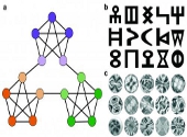 Triaj informatii