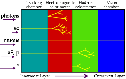 componente detector componente detector