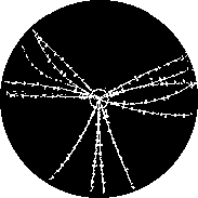 eveniment quarc gluon eveniment quarc gluon