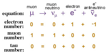 dezintegrare miuon