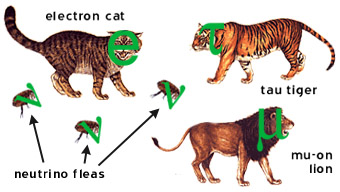 leptoni si feline