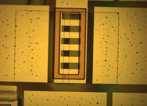 Circuit silicon