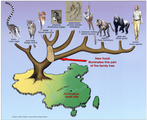 Diagramă Diagramă