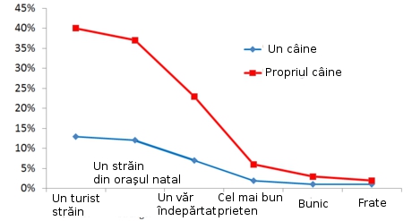 Grafic