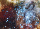 Tarantula Nebula